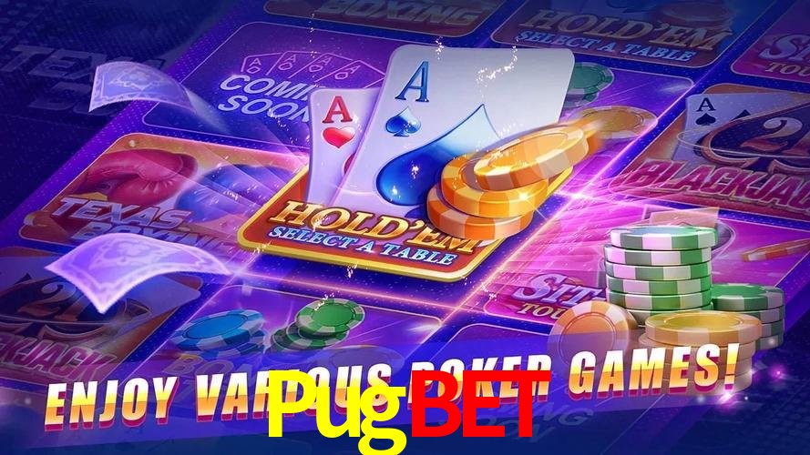 Sistemas de Segurança Pugbet